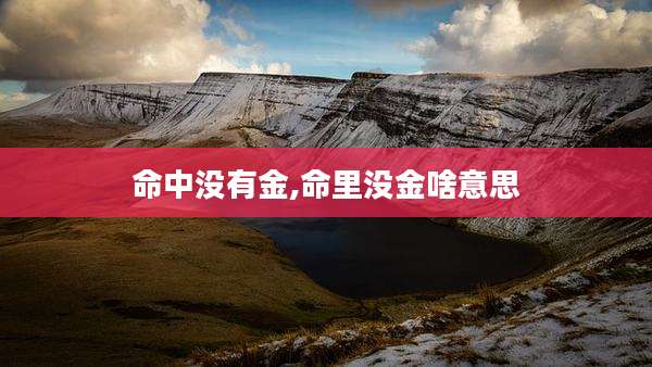 命中没有金,命里没金啥意思