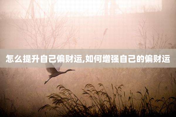 怎么提升自己偏财运,如何增强自己的偏财运
