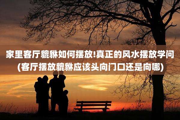 家里客厅貔貅如何摆放!真正的风水摆放学问(客厅摆放貔貅应该头向门口还是向哪)