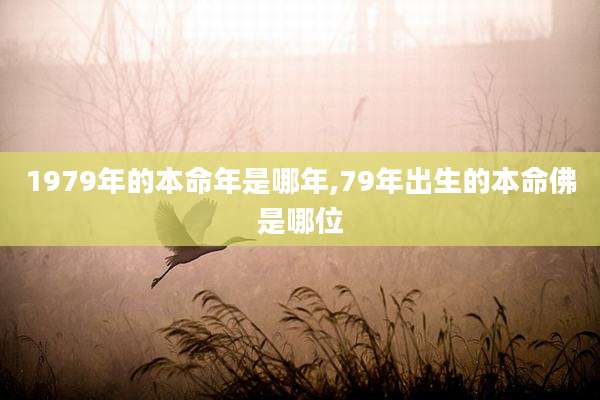 1979年的本命年是哪年,79年出生的本命佛是哪位