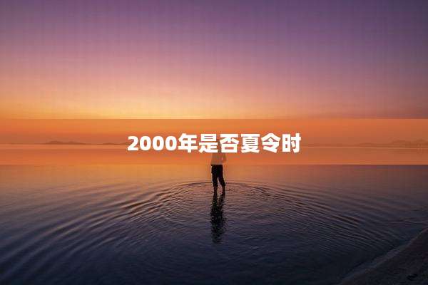 2000年是否夏令时