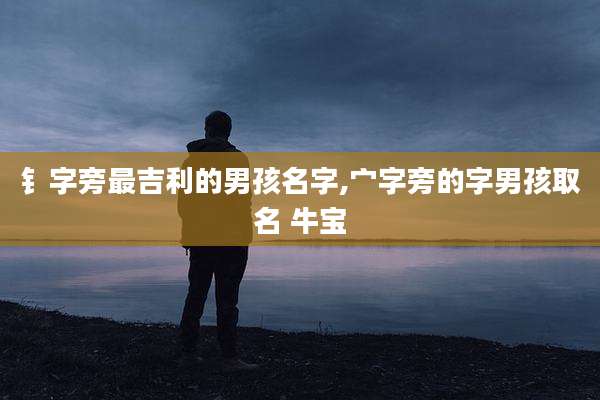钅字旁最吉利的男孩名字,宀字旁的字男孩取名 牛宝