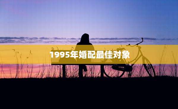 1995年婚配最佳对象