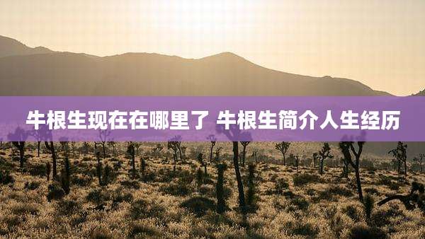 牛根生现在在哪里了 牛根生简介人生经历