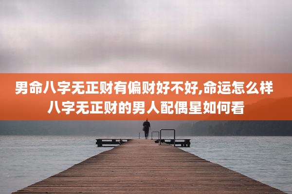 男命八字无正财有偏财好不好,命运怎么样 八字无正财的男人配偶星如何看