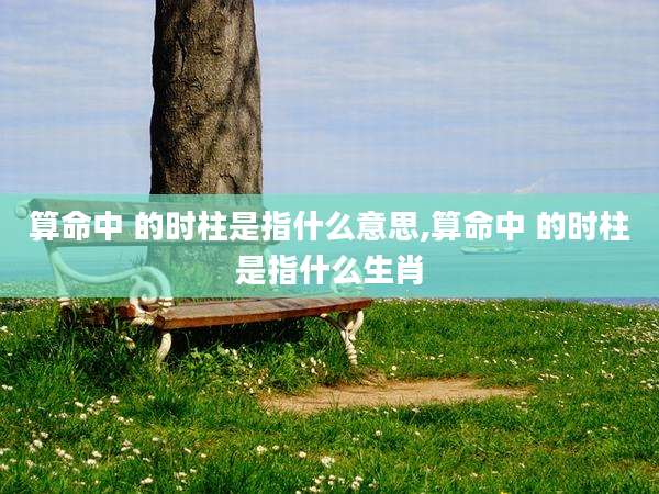 算命中 的时柱是指什么意思,算命中 的时柱是指什么生肖