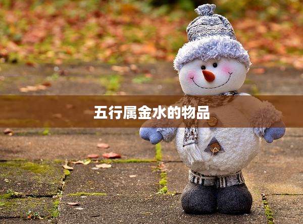 五行属金水的物品