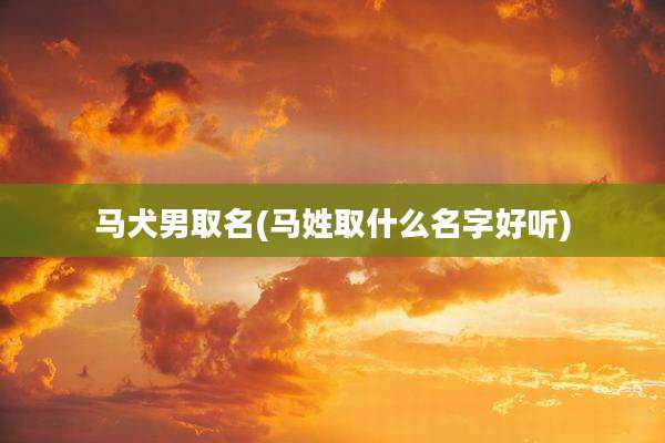 马犬男取名(马姓取什么名字好听)