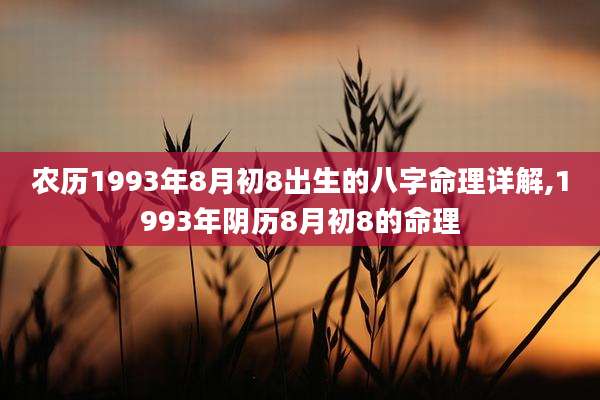 农历1993年8月初8出生的八字命理详解,1993年阴历8月初8的命理