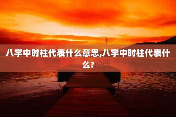 八字中时柱代表什么意思,八字中时柱代表什么?