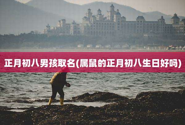正月初八男孩取名(属鼠的正月初八生日好吗)