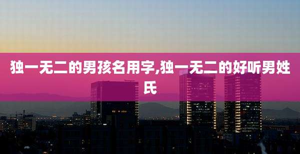 独一无二的男孩名用字,独一无二的好听男姓氏