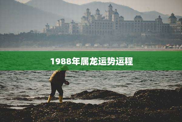 1988年属龙运势运程