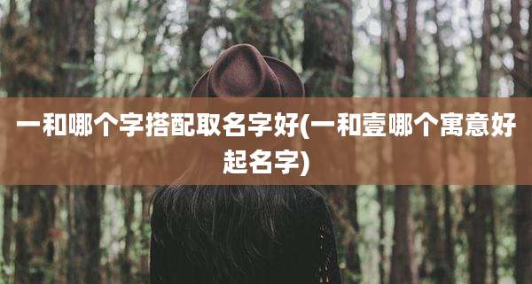 一和哪个字搭配取名字好(一和壹哪个寓意好起名字)