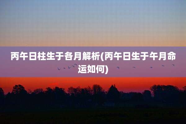 丙午日柱生于各月解析(丙午日生于午月命运如何)