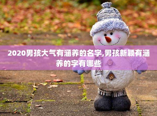 2020男孩大气有涵养的名字,男孩新颖有涵养的字有哪些