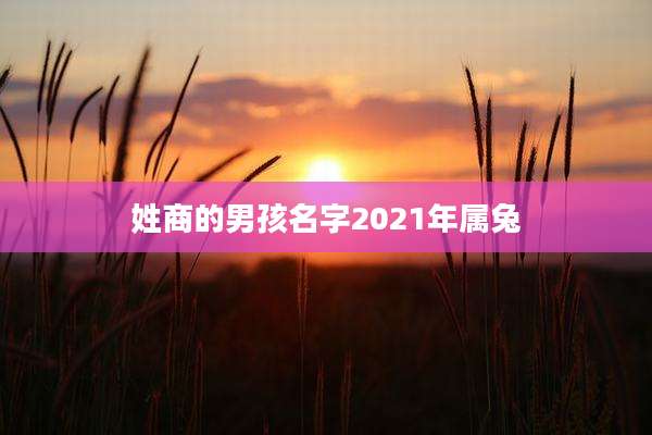 姓商的男孩名字2021年属兔