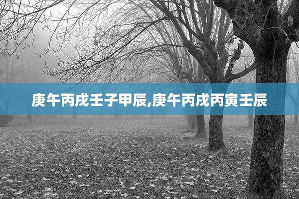 庚午丙戌壬子甲辰,庚午丙戌丙寅壬辰