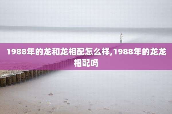 1988年的龙和龙相配怎么样,1988年的龙龙相配吗