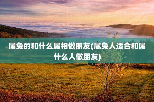 属兔的和什么属相做朋友(属兔人适合和属什么人做朋友)