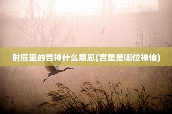 时辰里的吉神什么意思(吉星是哪位神仙)