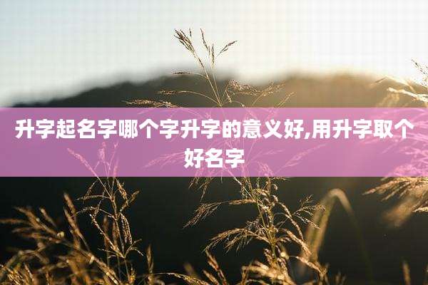 升字起名字哪个字升字的意义好,用升字取个好名字