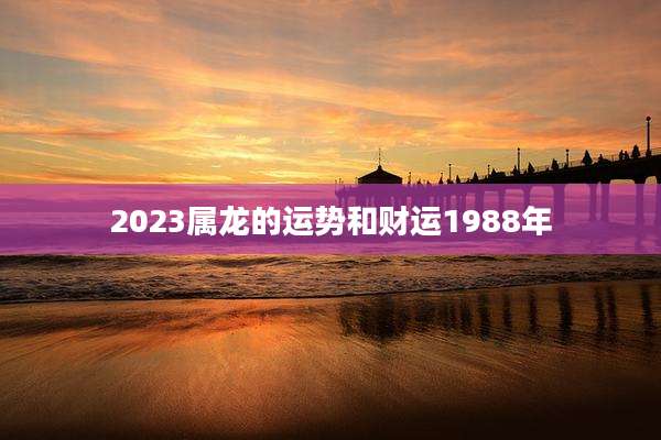 2023属龙的运势和财运1988年