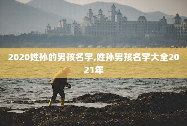 2020姓孙的男孩名字,姓孙男孩名字大全2021年