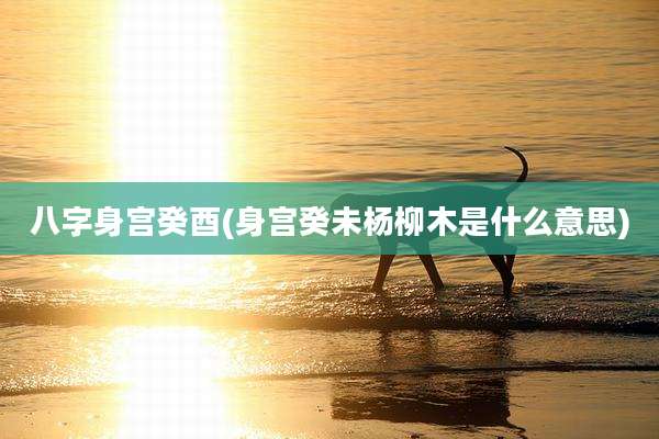 八字身宫癸酉(身宫癸未杨柳木是什么意思)
