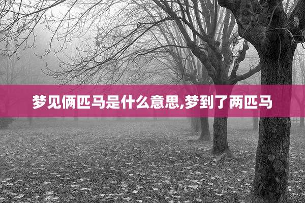 梦见俩匹马是什么意思,梦到了两匹马
