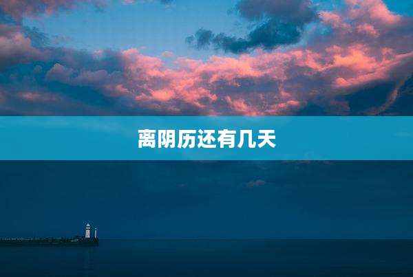 离阴历还有几天