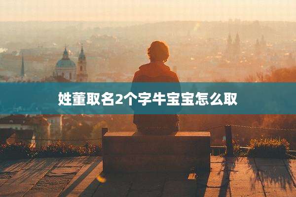 姓董取名2个字牛宝宝怎么取