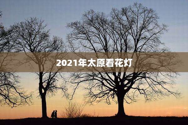2021年太原看花灯