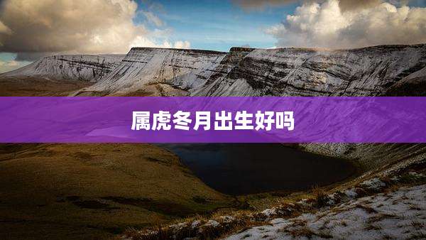 属虎冬月出生好吗