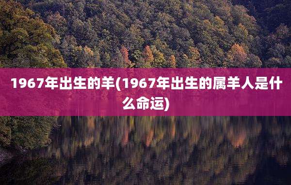 1967年出生的羊(1967年出生的属羊人是什么命运)