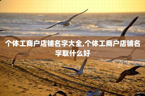 个体工商户店铺名字大全,个体工商户店铺名字取什么好