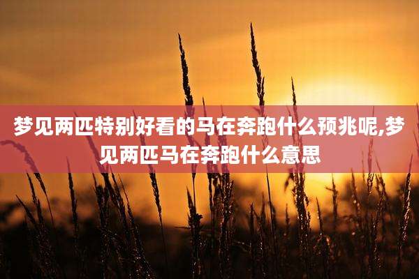梦见两匹特别好看的马在奔跑什么预兆呢,梦见两匹马在奔跑什么意思