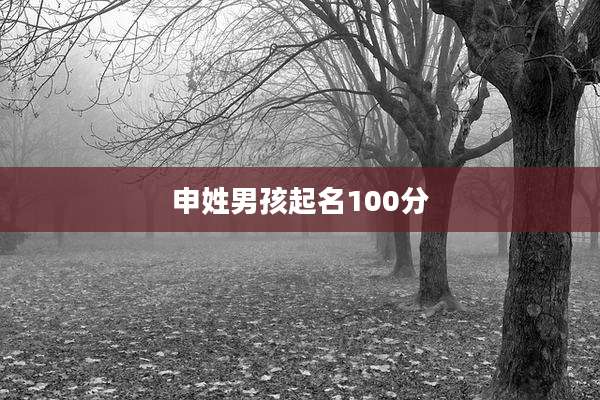 申姓男孩起名100分