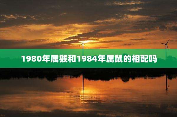 1980年属猴和1984年属鼠的相配吗