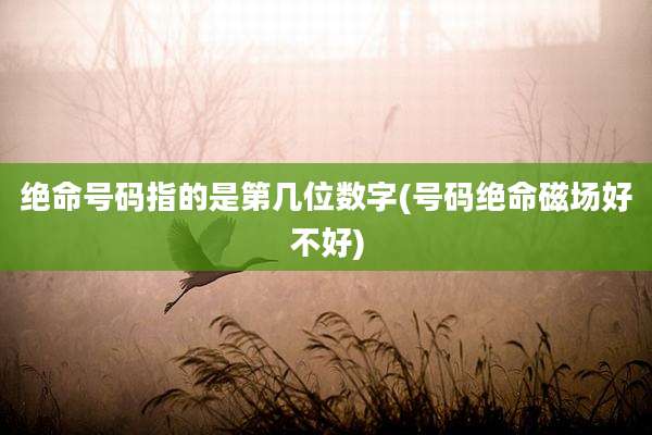 绝命号码指的是第几位数字(号码绝命磁场好不好)