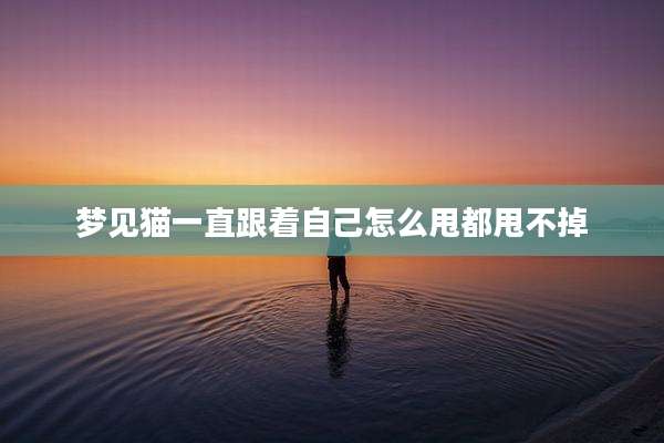 梦见猫一直跟着自己怎么甩都甩不掉