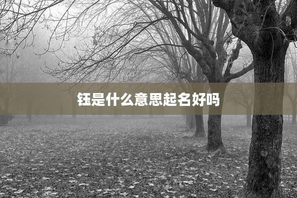钰是什么意思起名好吗