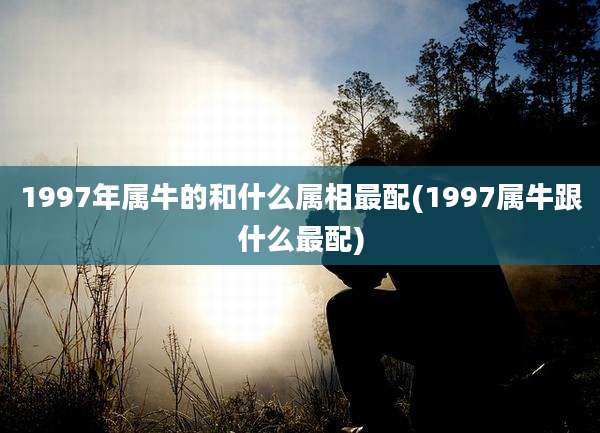 1997年属牛的和什么属相最配(1997属牛跟什么最配)