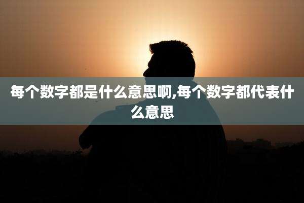 每个数字都是什么意思啊,每个数字都代表什么意思