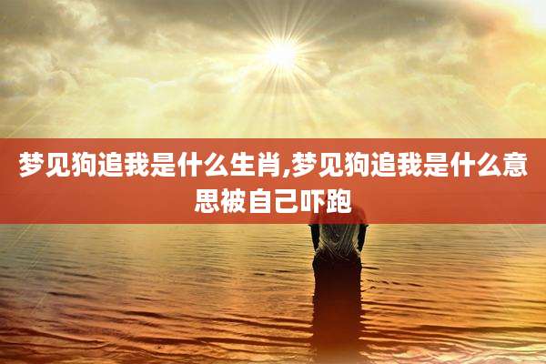 梦见狗追我是什么生肖,梦见狗追我是什么意思被自己吓跑