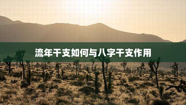 流年干支如何与八字干支作用