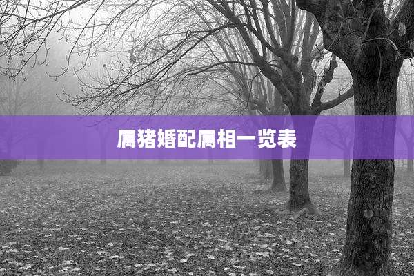 属猪婚配属相一览表