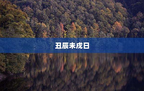 丑辰未戌日