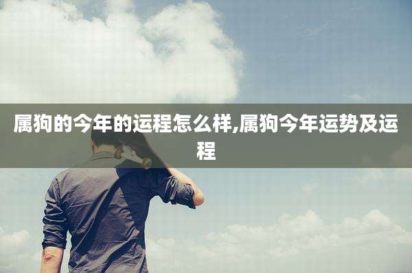 属狗的今年的运程怎么样,属狗今年运势及运程