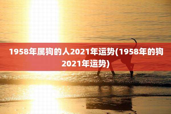 1958年属狗的人2021年运势(1958年的狗2021年运势)